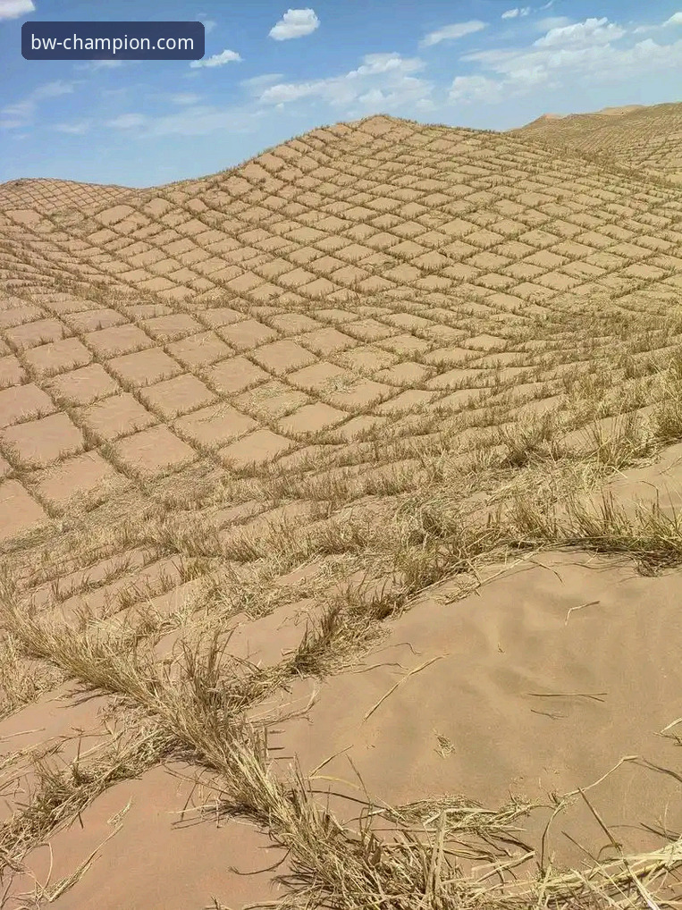 资深用户分享：在宝威体育平台追踪“沙漠大满贯”背后的惊险旅程